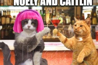 #AuspolPunters 12 MARRIAGE EQUALITY